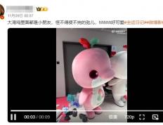 远程控制如何(hé)支援全運(yùn)会 幕后工作都要使(shǐ)不完的劲