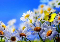 8月被动收入增加，全年收入突破预期的生肖，成为众人羡慕黑马