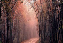 网络兼职软件-招工帮