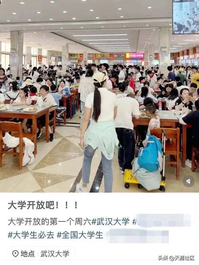 孙杨回应“妈宝男”标签:你见过事业这么成功的“妈宝男”吗?