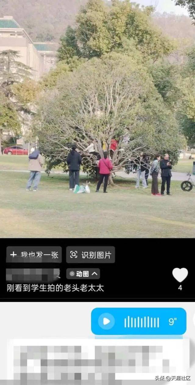 孙杨回应“妈宝男”标签:你见过事业这么成功的“妈宝男”吗?